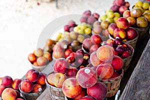 Fresh picked peaches and plums in wooden basket on shelves display at roadside market stand in Santa Rosa, Destin, Florid,