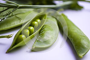 fresh picked peas in pile of pea pods on white background