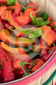 Fresh picked Red Chili Peppers at farmers market in Espanola New Mexico USA
