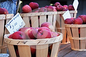 Fresh picked red ripe apples close-up in baskets