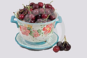 Fresh picked red ripe cherries close-up in a colander
