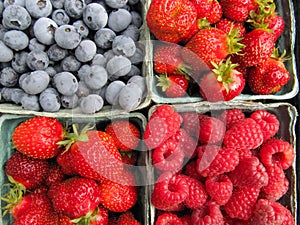 Fresh picked strawberries, raspberries and Blueberries