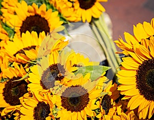 Fresh picked sunflowers at a market