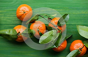 Fresh picked tangerine clementines on wooden green table.