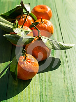 Fresh picked tangerine clementines on wooden green table.