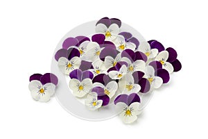 Fresh picked viola flowers