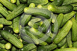 Fresh pickles