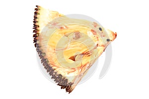 fresh piece of jackfruit isolated