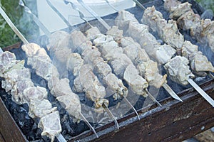 Fresh pieces of meat skewered and grilled