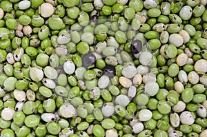 Fresh pigeon peas