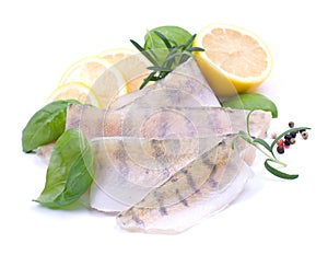 Fresh pikeperch fillet
