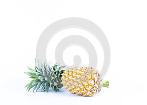 Fresh pinapple fruits on white backgrounds with copy space for y