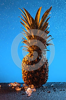 Fresh Pineaple Splashed in Icy Water Background