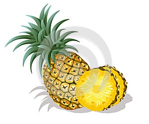 Fresh pineapple