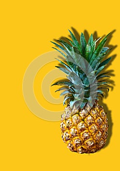 Fresh Pineapple on Blank Yellow Background with Copy space