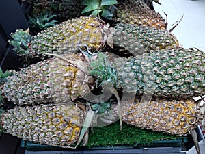 Fresh pineapple collection with closeup view