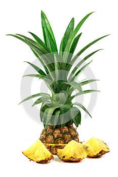 Fresh pineapple Cut half