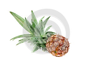 Fresh pineapple Cut half