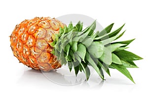 Fresh pineapple fruit with cut and green leaves