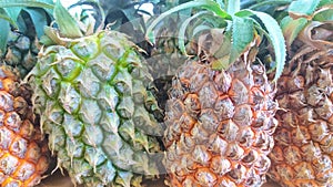 fresh pineapple fruit sold in groceries