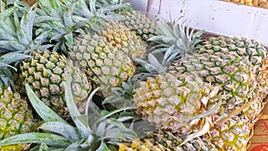 fresh pineapple fruit sold in groceries