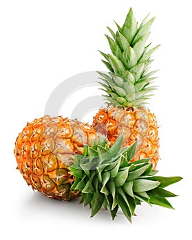 Fresh pineapple fruits with green leaves