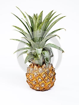 Fresh pineapple isolated on white