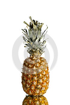 Fresh pineapple isolated on white background