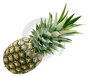 Fresh pineapple isolated