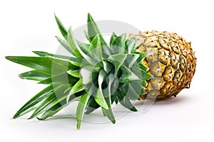 Fresh pineapple isolated on white