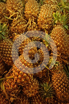 Fresh pineapple in the market