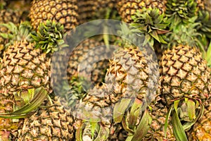 Fresh Pineapple photo