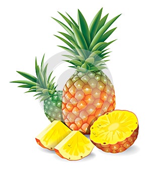 Fresh pineapple with slices vector illustration. photo