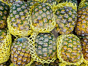 Fresh pineapples cushioning in foam net on shelves ready to sell in the supermarket. tropical fruit product on sale