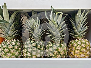 Fresh Pineapples Fruit In The White Box