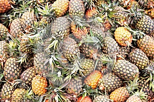 Fresh pineapples at an outdoor market