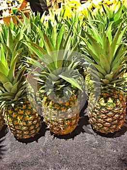 Fresh Pineapples For Sale