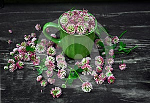 Fresh pink clover flower heads in green mug on wooden background. Natural herbal remedy
