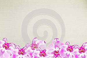 Fresh pink orchid, Phalaenopsis, bottom of the frame on wooden background