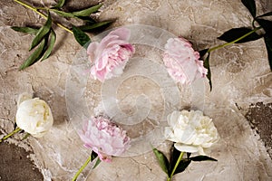 Fresh pink peonies flowers on aged wooden background. Flat lay. Top view with copy space. Toned image.