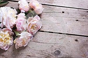 Fresh pink peonies flowers on vintage wooden background. Flat la