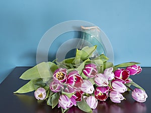 Fresh pink and red tulip flowers bouquet in front of a jug on a brown table in front of green wall. View with copy space and