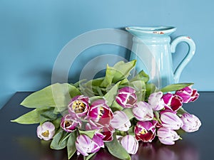 Fresh pink and red tulip flowers bouquet in front of a jug on a brown table in front of green wall. View with copy space and