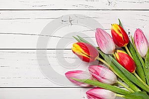 Fresh pink and red-yellow tulips on wooden background