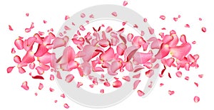 Fresh pink rose petals on background
