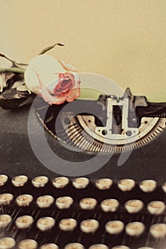 Fresh pink rose on vintage typewriter with blank page, retro toned