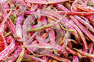 Fresh pink string beans on the market