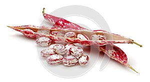 Fresh pinto beans isolated on white