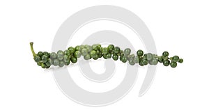 Fresh piper nigrum isolated on a white background
