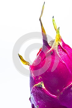 Fresh Pitahaya Fruit